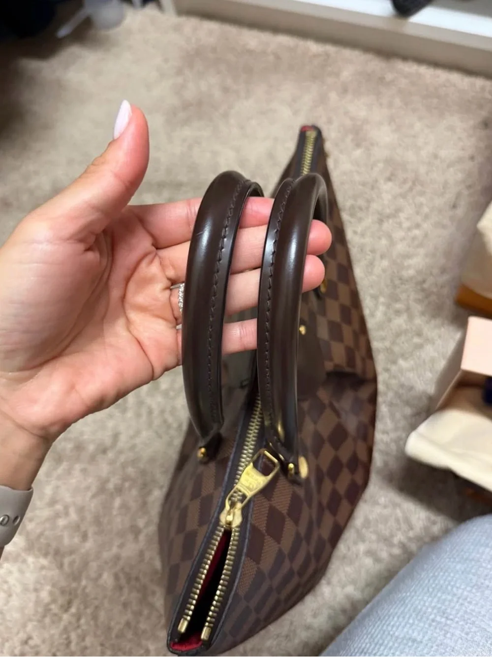 Louis Vuitton classic louis